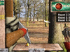 Archery Robin Hood