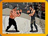 Boxing Fight