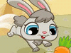 Bunny and Carrots
