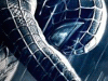 Gioco di Memoria Spiderman