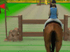 Prueba de Saltos de Caballo