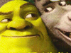 Shrek Trova le Somiglianze