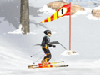 Ski in the Snow