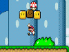 The Super Mario World